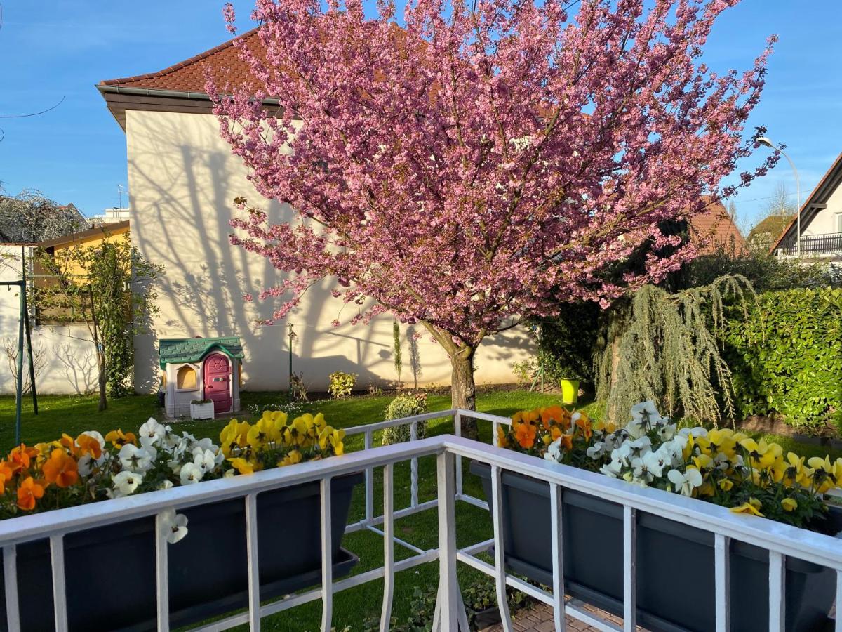 Appartement Le Jardin Lingolsheim Εξωτερικό φωτογραφία