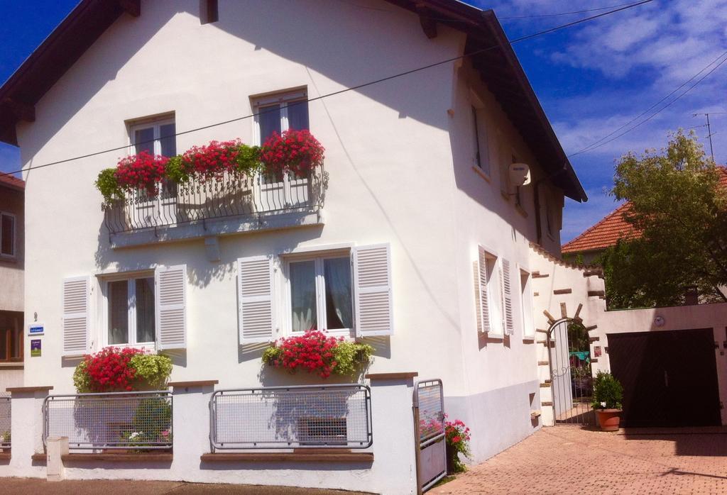 Appartement Le Jardin Lingolsheim Δωμάτιο φωτογραφία